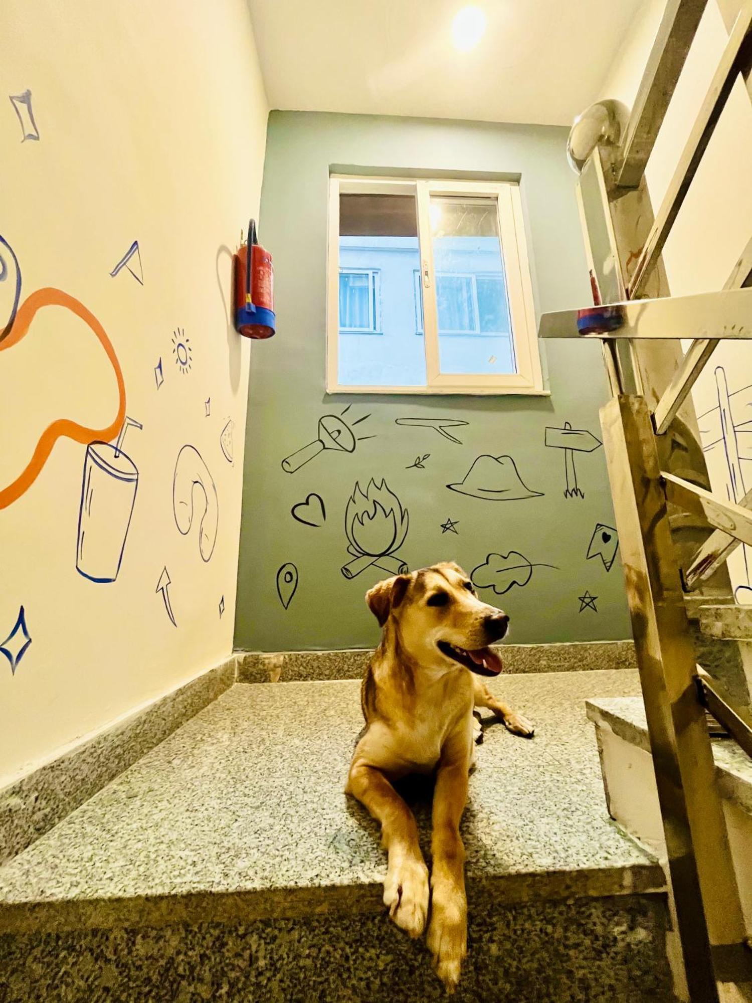 Bonfire Hostels Rišikéš Exteriér fotografie